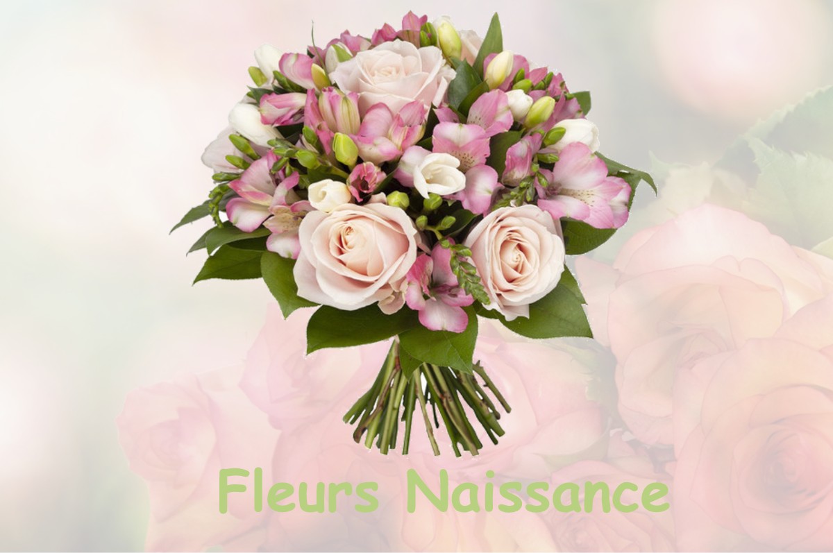 fleurs naissance CHAPELON