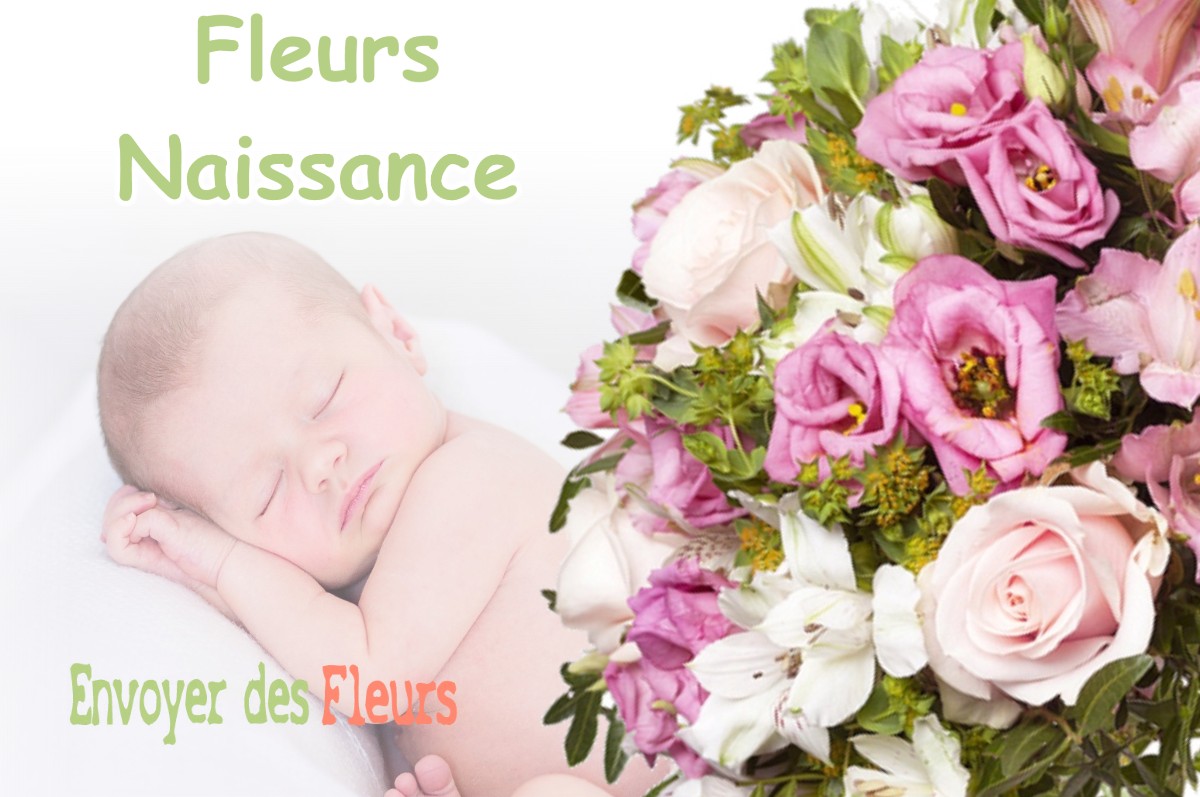 lIVRAISON FLEURS NAISSANCE à CHAPELON